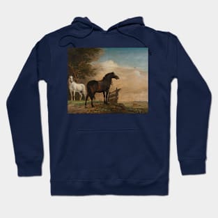 Two Horses in a Meadow near a Gate by Paulus Potter Hoodie